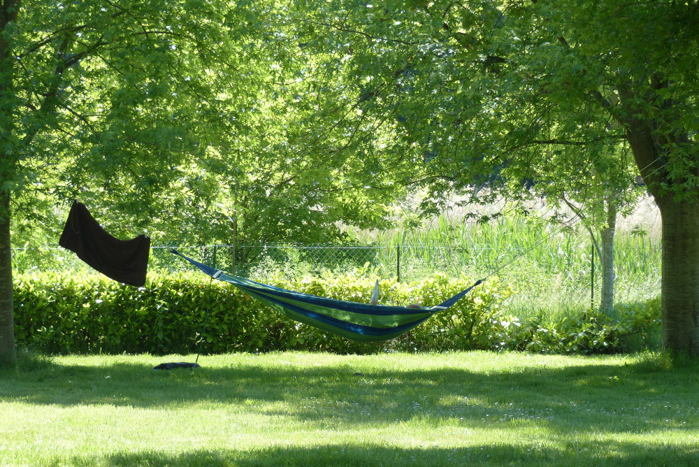 ambiance dans le camping