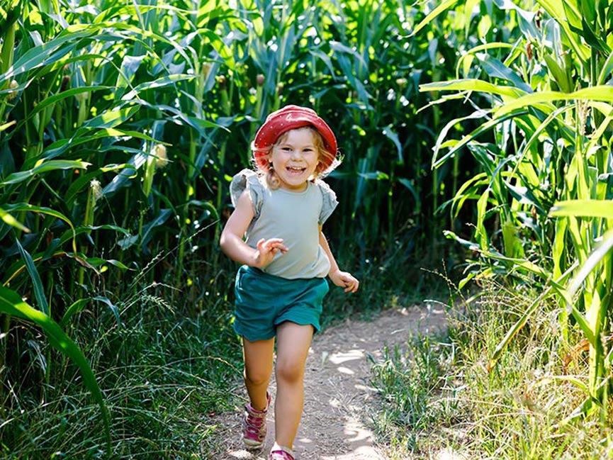 labyrinthe famille activité