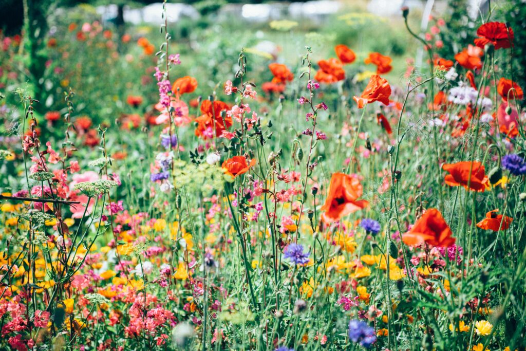 parc floral nature