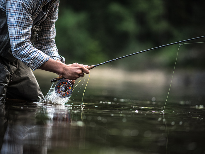 peche camping des etangs